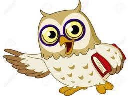 owl.jpg